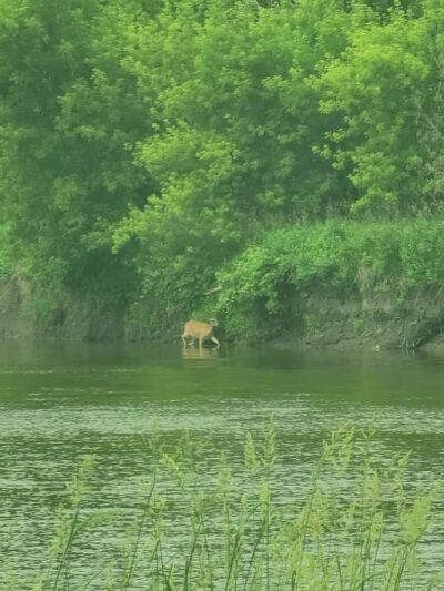 Flandreau Park - Flandreau, SD