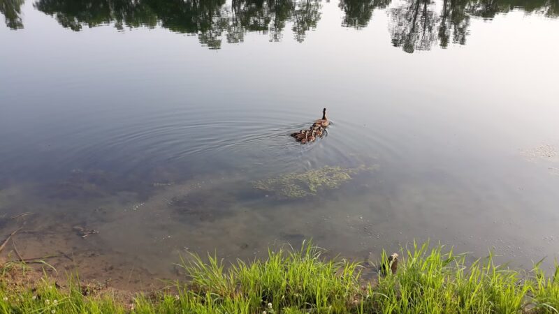 Flemingsburg City Park - Flemingsburg, KY
