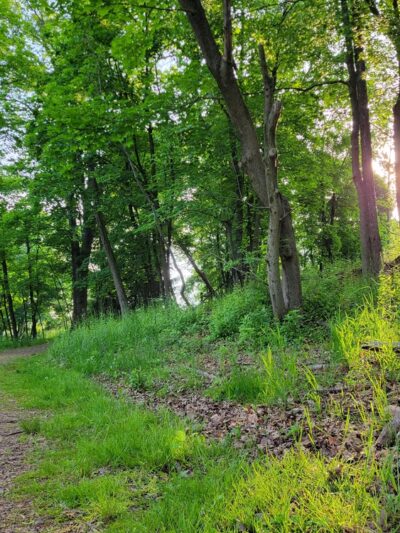 Tuccamirgan Park - Flemington, NJ