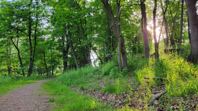 Tuccamirgan Park - Flemington, NJ