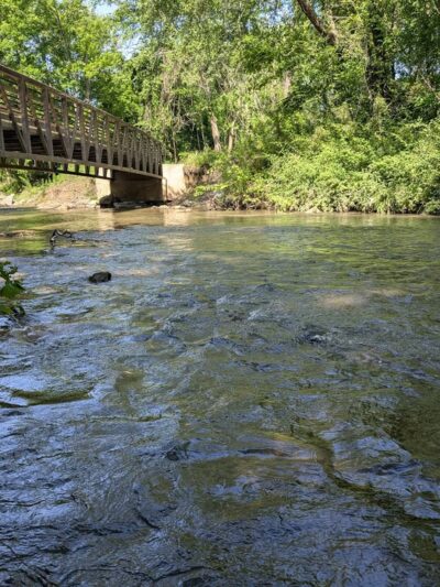 Bill Moore Community Park - Fletcher, NC