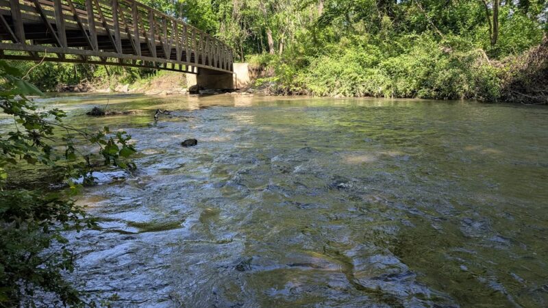 Bill Moore Community Park - Fletcher, NC