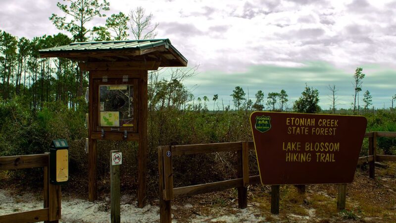 Lake Blossom Trail - Florahome, FL