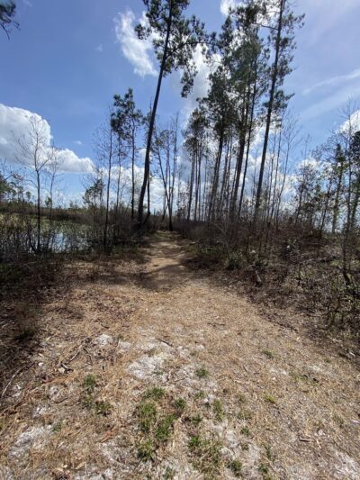 Lake Blossom Trail - Florahome, FL