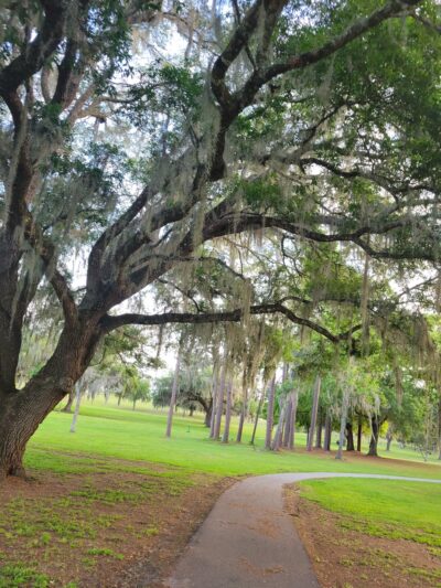 Floral City Disc Golf Course - Floral City, FL