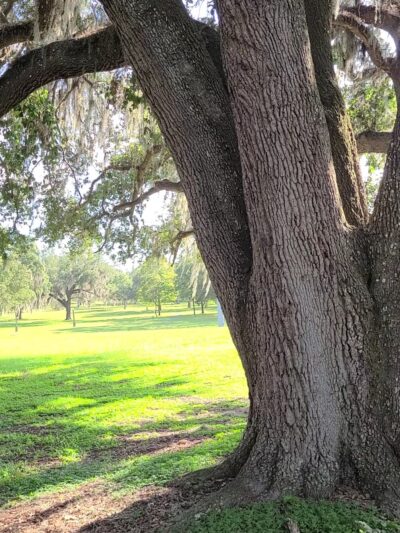 Floral Park - Floral City, FL