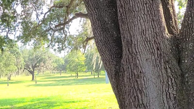 Floral Park - Floral City, FL