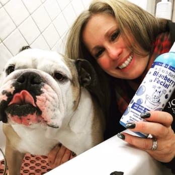 Jo-Mar Grooming & Boarding - Floral Park, NY