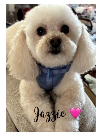 Doggie Paddles LLC - Florence, KY