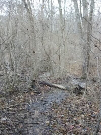 Fox Run Park - Florence, KY