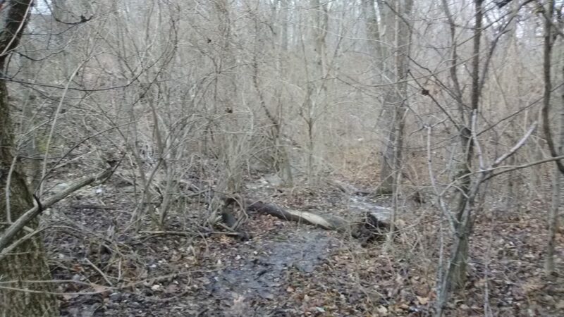 Fox Run Park - Florence, KY