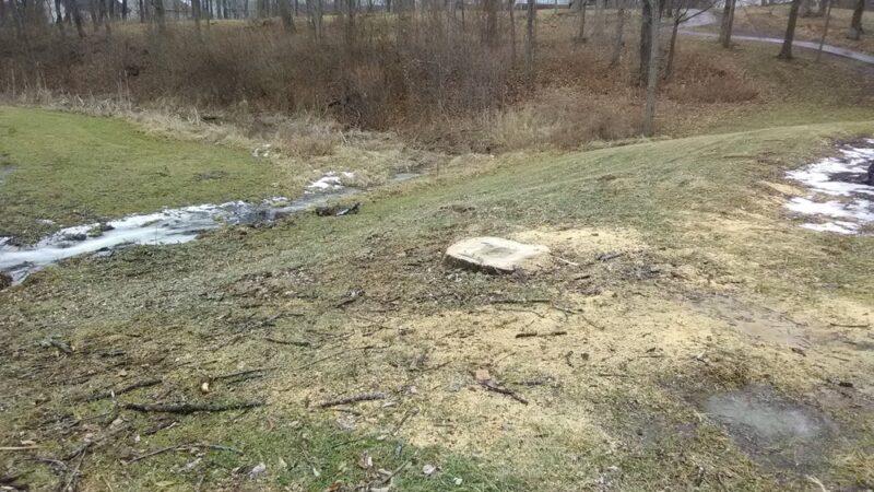 Fox Run Park - Florence, KY