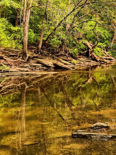 South Fork Park - Florence, KY