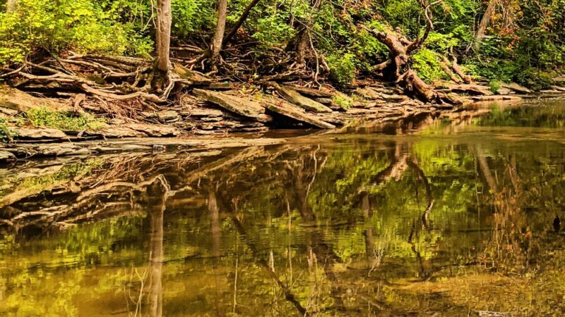 South Fork Park - Florence, KY