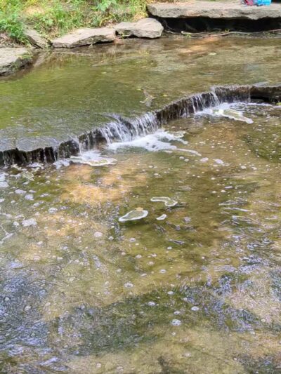 South Fork Park - Florence, KY