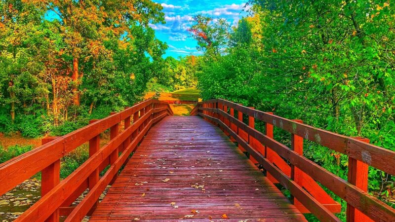 South Fork Park - Florence, KY