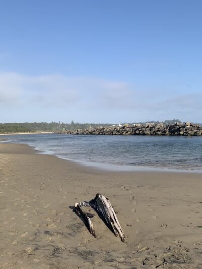 South Jetty Dog Ponds - Florence, OR