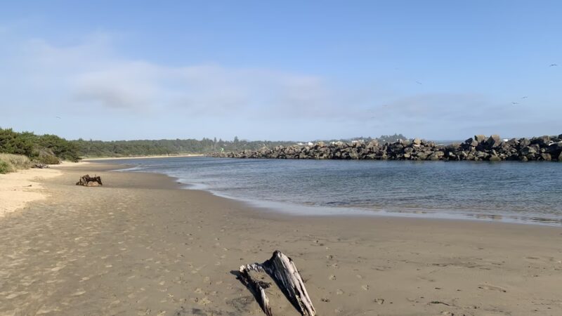 South Jetty Dog Ponds - Florence, OR
