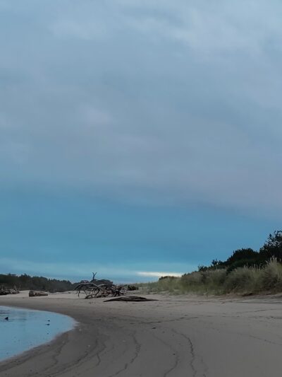 South Jetty Dog Ponds - Florence, OR