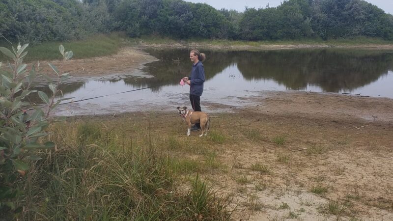 South Jetty Dog Ponds - Florence, OR