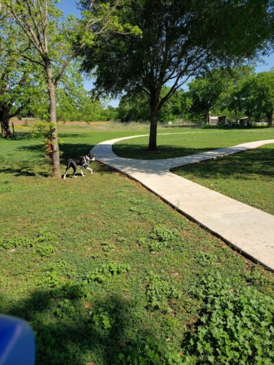 Rosies City Dog Park - Floresville, TX