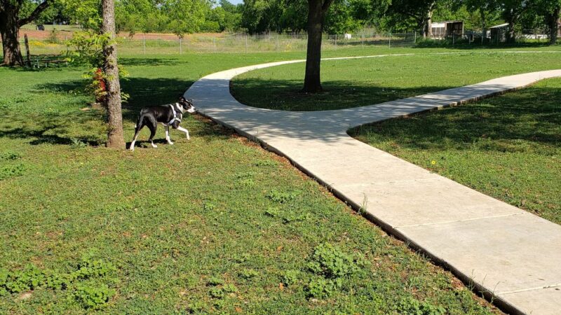 Rosies City Dog Park - Floresville, TX