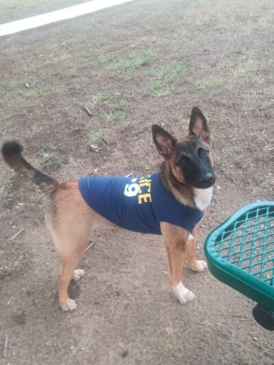 Rosies City Dog Park - Floresville, TX