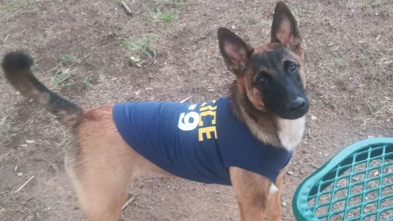 Rosies City Dog Park - Floresville, TX