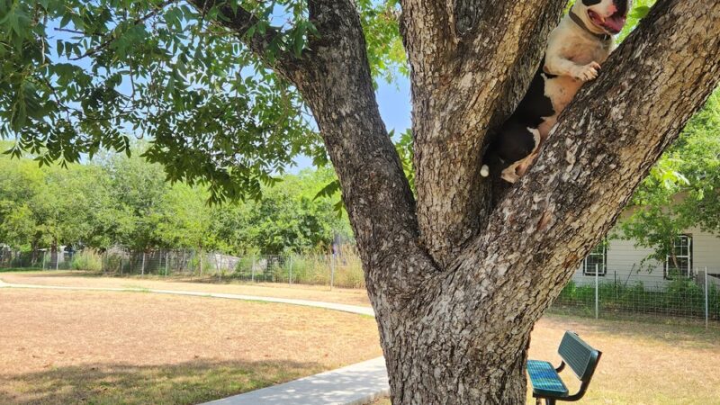 Rosies City Dog Park - Floresville, TX