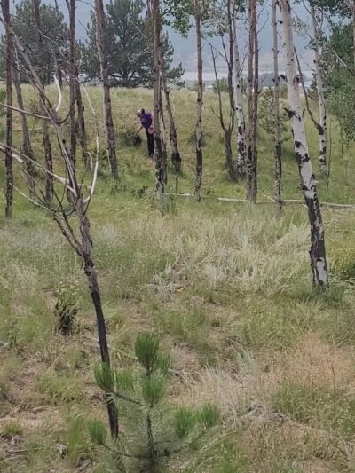 Lion's Den Disc Golf Course - Florissant, CO