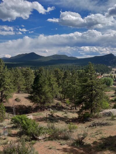 Lion's Den Disc Golf Course - Florissant, CO