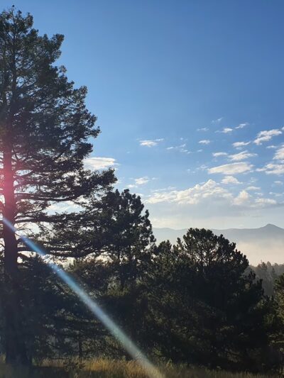 Pisgah Point Campground - Florissant, CO