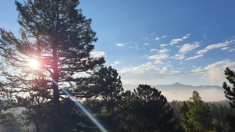 Pisgah Point Campground - Florissant, CO