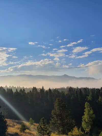 Pisgah Point Campground - Florissant, CO