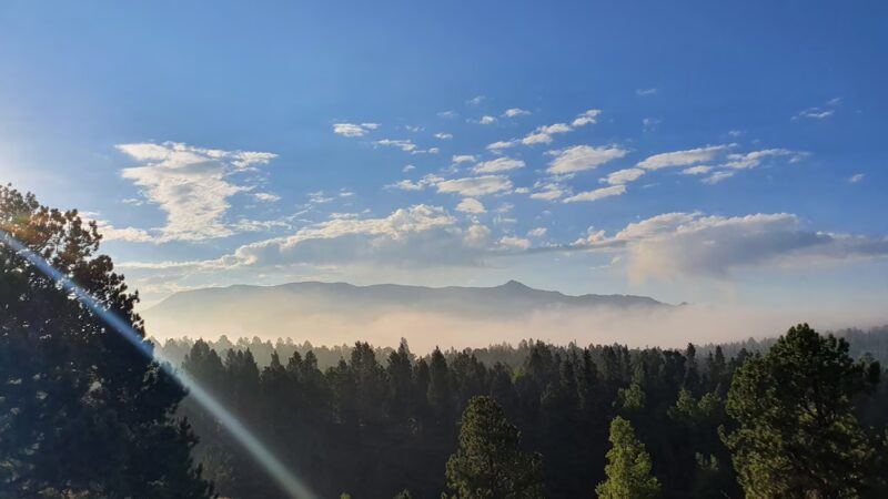 Pisgah Point Campground - Florissant, CO