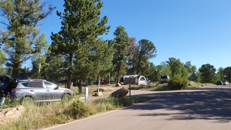 Pisgah Point Campground - Florissant, CO