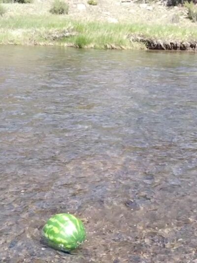 Riverside Campground - Florissant, CO