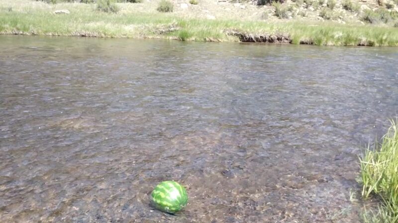 Riverside Campground - Florissant, CO