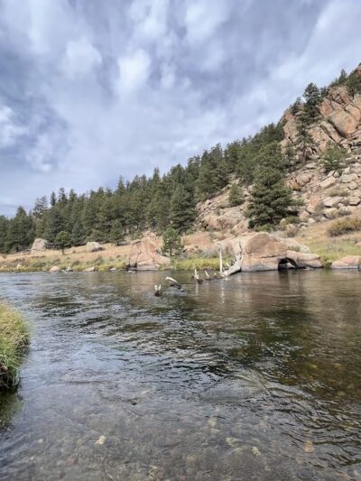 Riverside Campground - Florissant, CO