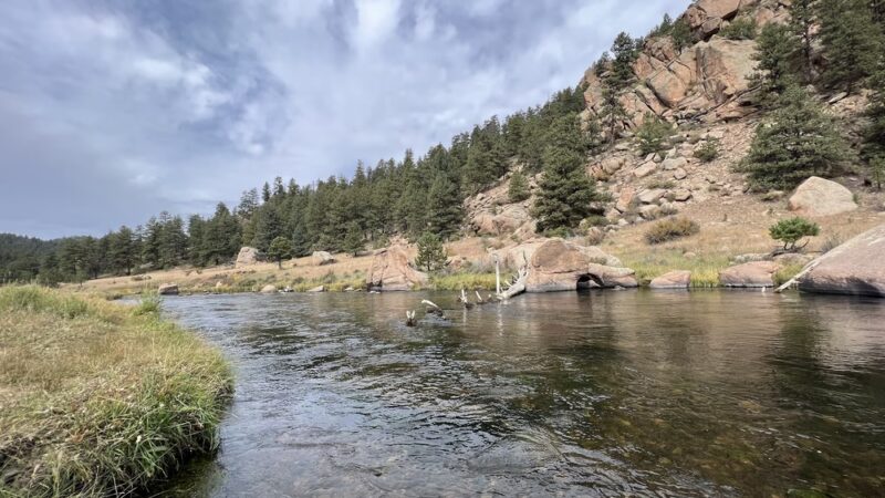 Riverside Campground - Florissant, CO