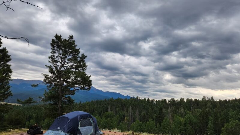 Turkey Meadow Campground - Florissant, CO