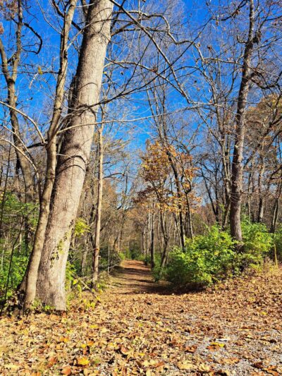 Champ Trails - Florissant, MO