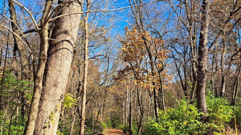 Champ Trails - Florissant, MO