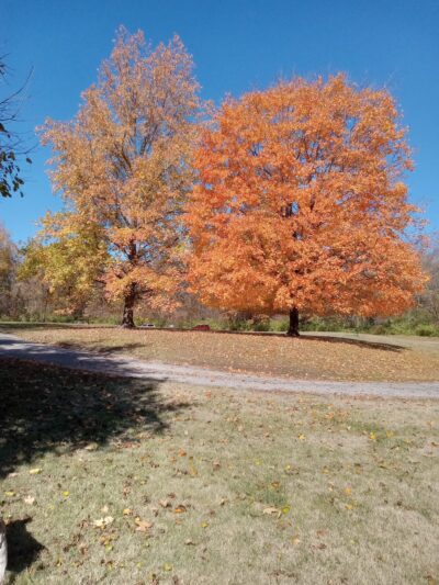 Champ Trails - Florissant, MO