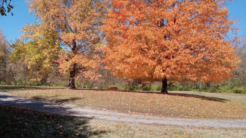 Champ Trails - Florissant, MO