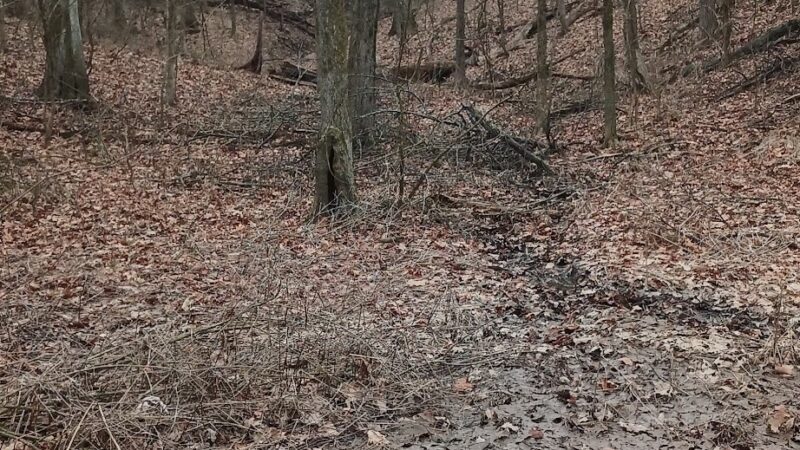 Dunegant Park - Florissant, MO