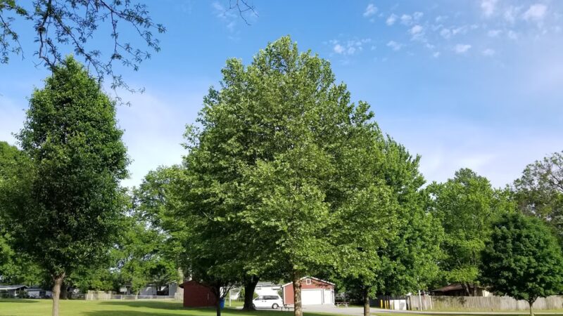 Mullanphy Park - Florissant, MO
