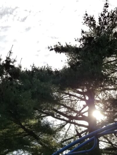 Mullanphy Park - Florissant, MO