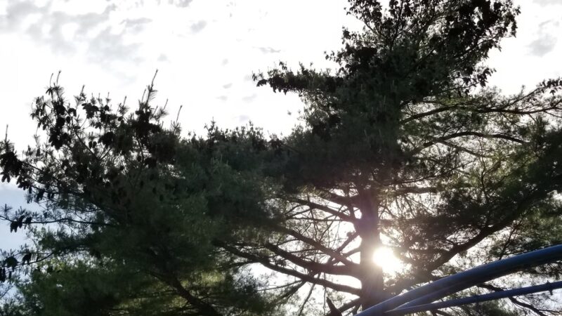 Mullanphy Park - Florissant, MO