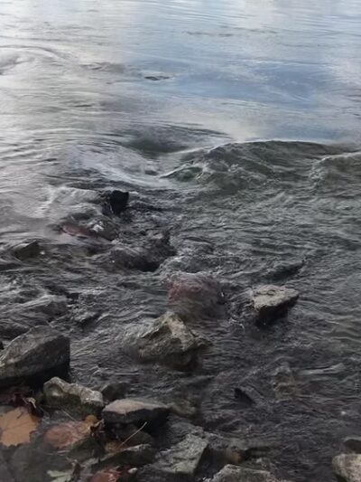 Sunset Park - Florissant, MO